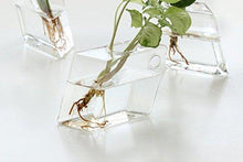 Mkono 2 Pcs Wall Mounted Glass Vase - Paruse