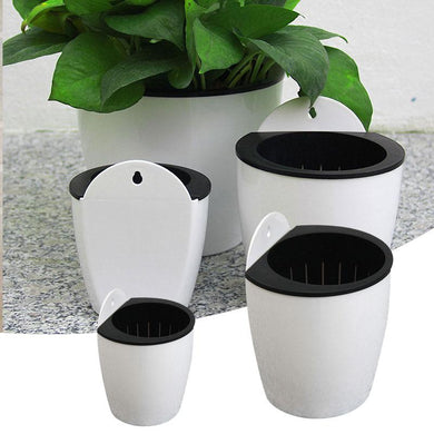 Self-Watering Flower Pot. - Paruse