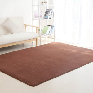 Solid color Carpets for Living Room - Paruse