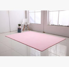Ultra Soft Thick Memory Foam Absorbent Coral Fleece Fabric Area Rugs - Paruse
